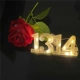 «1314» теплый белый свет.
