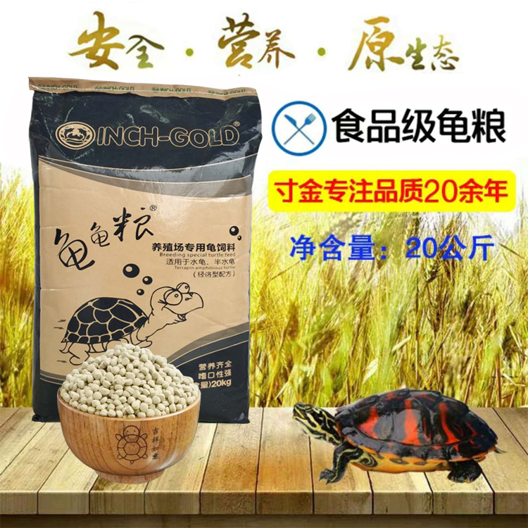 Inch Gold Tortoise Feed Turtle Grain Color Color Increasing Red Feed Land Turtle Tortoise Turtle Food Stone Gold Money Tortoise Turtle Basil Turtle