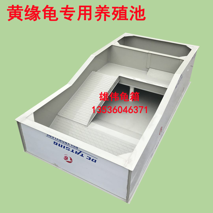 New luxury yellow-margin turtle semi-water turtle turtle produced turtle box