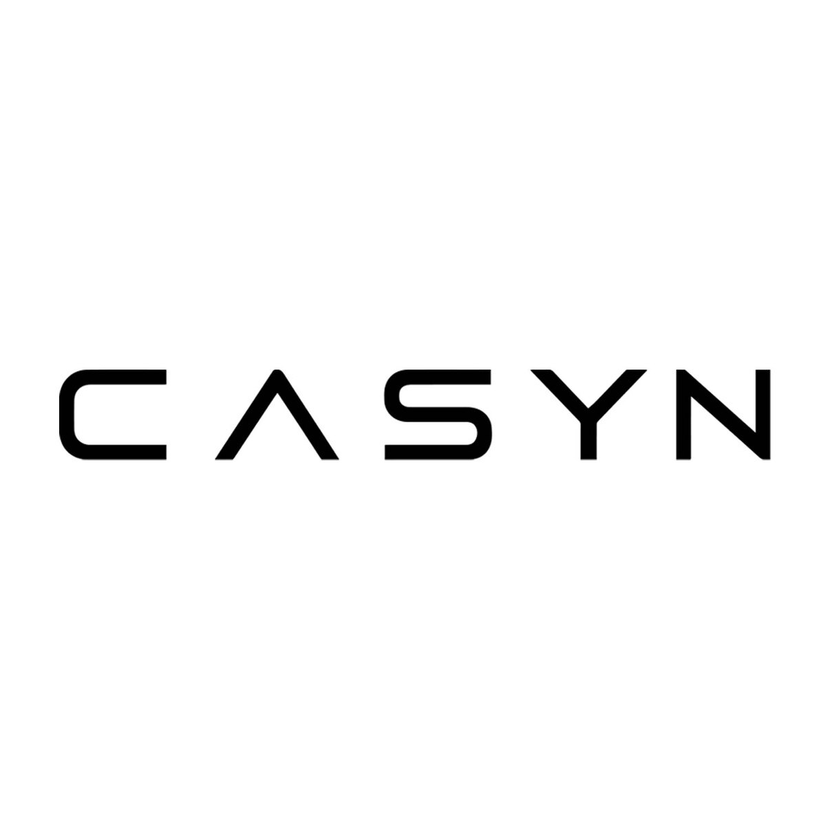 CASYN 潘大大的壳的LOGO