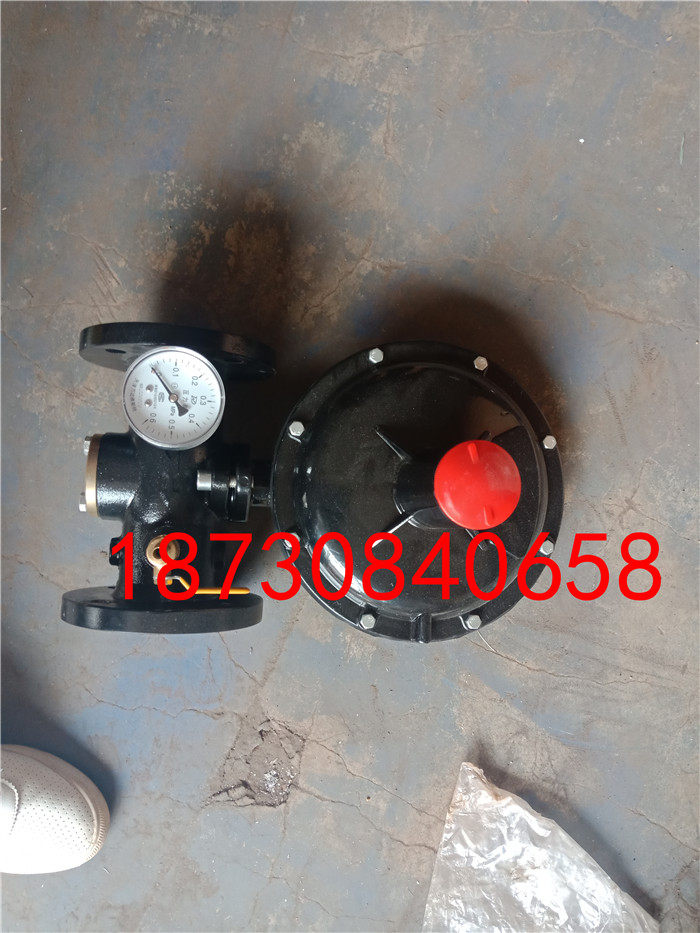 Gas Pressure Reducing Gas pressure regulator Liquefied Gas pressure valve RTZ-F combustion engine boiler with pressure reducing valve