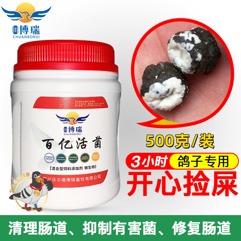 Borey ten billion Live Bacteria Dove Drug Probiotics 100 Beneficial Live Bacteria King Powder Systare Pigeon Water Green Poo Conditioning Intestinal