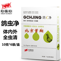 Heart-connected dove medicine (new pigeon C net) powder 10 gr * 6 bag body with inner and outer worms full of worms clear of heart and dove intestines