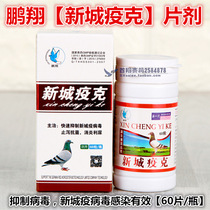 Peng Xiang Dove Drug (New City Plague) sheet 60 Grain Water Pitchers Wiggle neck Antibacterial anti-inflammatory New City Plague Virus Infection