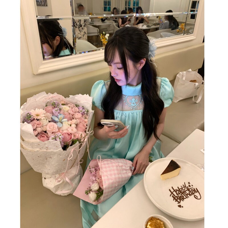 Placeorder Korean Niche Doll Collar Angel Embroidery Puffy Dress Women's Summer Mesh Patchwork Short Skirt