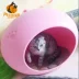 Doghouse loại nhà ngoài trời mưa bốn mùa phổ quát giường nhựa doghouse trong nhà - Cat / Dog hàng ngày Neccessities Cat / Dog hàng ngày Neccessities