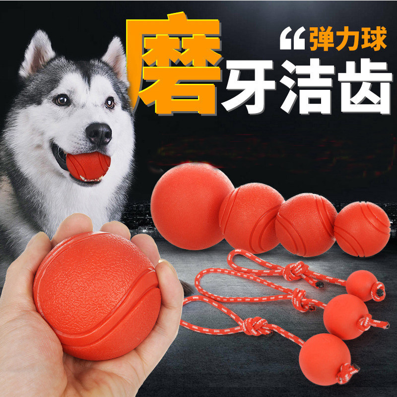 Pooch Toy Supplies Gold Wool Resistant Harkic Grindle Horse Dog Alaska Pet Large Dog Playing Dog Ball