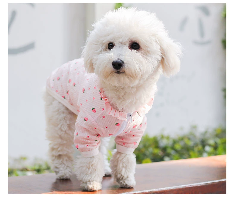 Teddy Bomei in mùa hè mỏng phần chống nắng quần áo VIP hơn gấu con chó con chó con chó con quần áo mùa hè quần áo - Quần áo & phụ kiện thú cưng nón cho chó