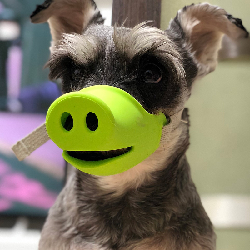 Pooch mouth cover mouth sleeve anti-bite called deity Thédikokie puppy cage pet to prevent dog from messy eating