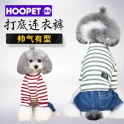 Quần áo cho chó Teddy Bomei chú chó nhỏ bốn chân quần áo jumpsuit cún con mùa xuân và mùa hè quần áo bình thường - Quần áo & phụ kiện thú cưng