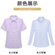 春秋季新款农行工作服女紫色女式衬衫行服工装农业银行蓝色职业装