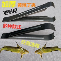 Stainless steel kill yellow spicy ding special clip fish control pliers anti-tie hand catch Huang Guzi Huang Sha Gu Huang horn Ding thorn
