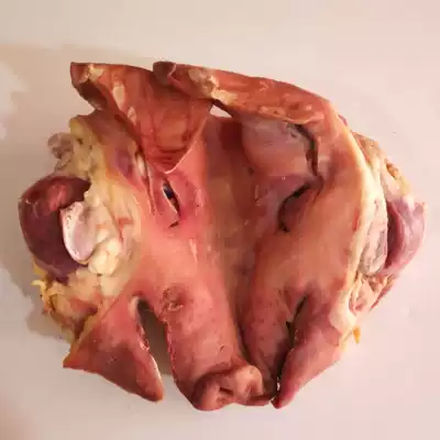 Anhui specialty farm salty pig head air-dried wax pig head meat with bone and ears meat head whole 6 pounds