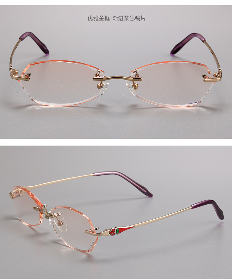Montures de lunettes en Tole - Ref 3142189 Image 17