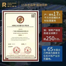 Пианино 珠江正品旗舰官方tn1系列高雅家用考级初学立式钢琴教学演奏