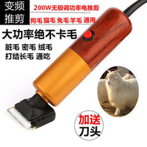 Professional pet electric clipper high-power shaved wool 200W plug electric shaved dog dog hair rabbit hair hair clipper scissors