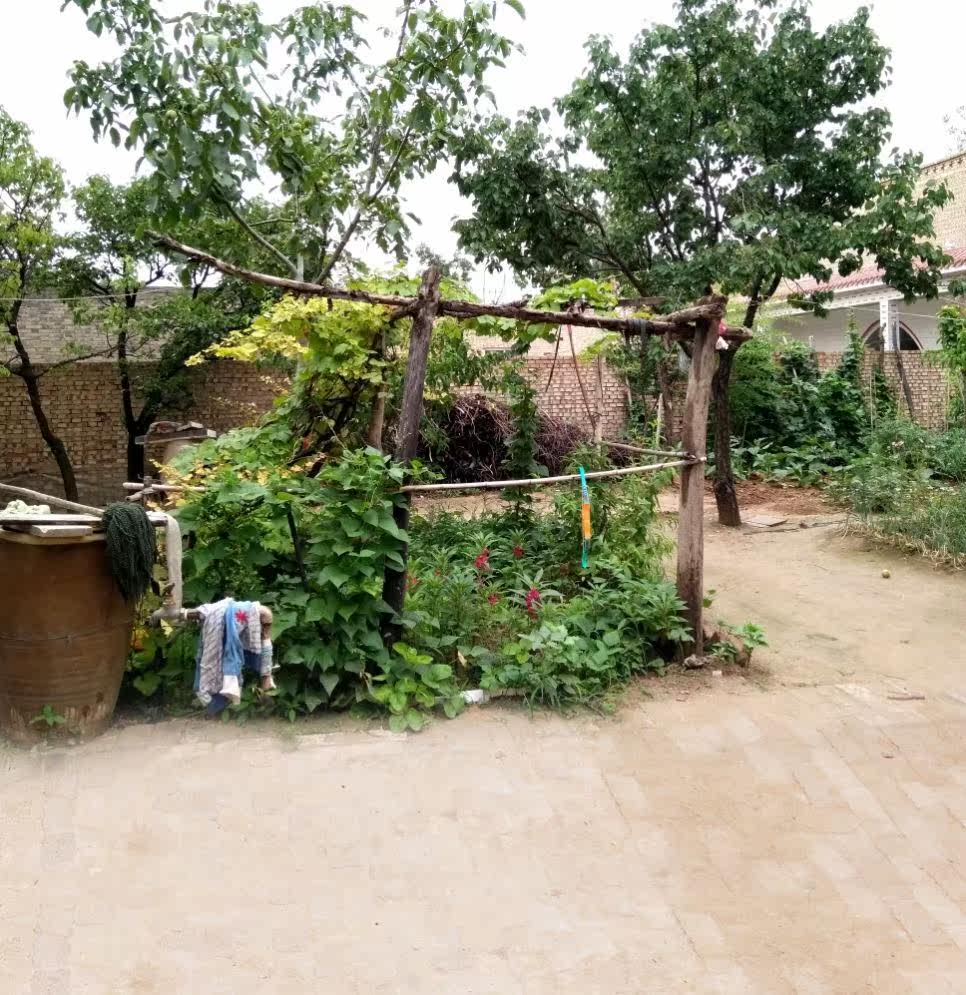 Hanging on the wall of rural background cloth background diagram hanging 3D photo network red cloth 2023 wallpaper cloth