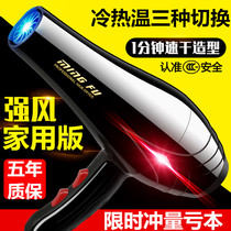 Hair dryer Household barber shop size power hair salon Hot and cold air dormitory with students multi-fold negative ion hair care