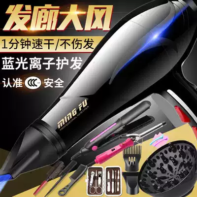 Hair dryer High power 3000 household hair salon dedicated 9000 hair salon negative ion hair care dormitory 2000W