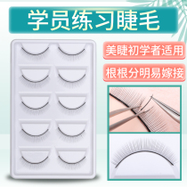 Special practice grafting eyelash beginners education training course exercises eyelash tools for new hand trainees