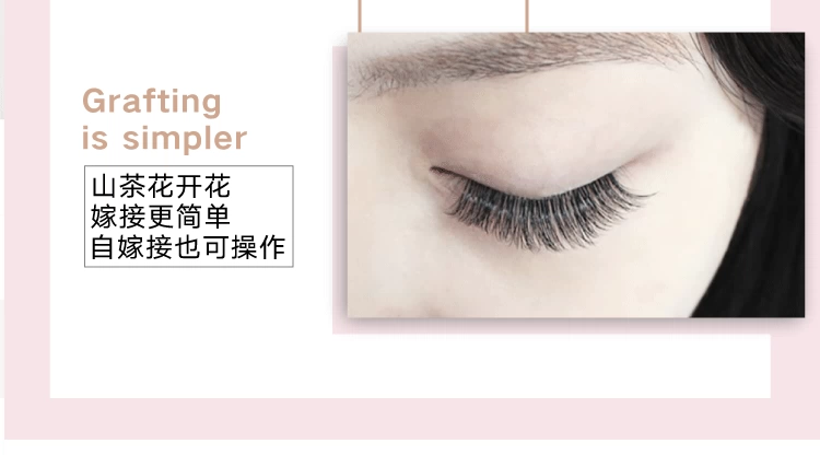 貂 丝 嫁 嫁 眼 眼 眼 嫁 嫁 嫁 嫁 嫁 嫁 嫁 嫁 嫁 嫁 嫁 嫁 嫁 嫁 嫁 嫁 嫁 嫁 嫁 lông mi nam châm