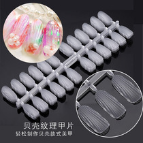 Meicchia seashells Serie A 2 sets of nail man fish display plate colour card Plate Color Plate Upscale Work Day Ensemble