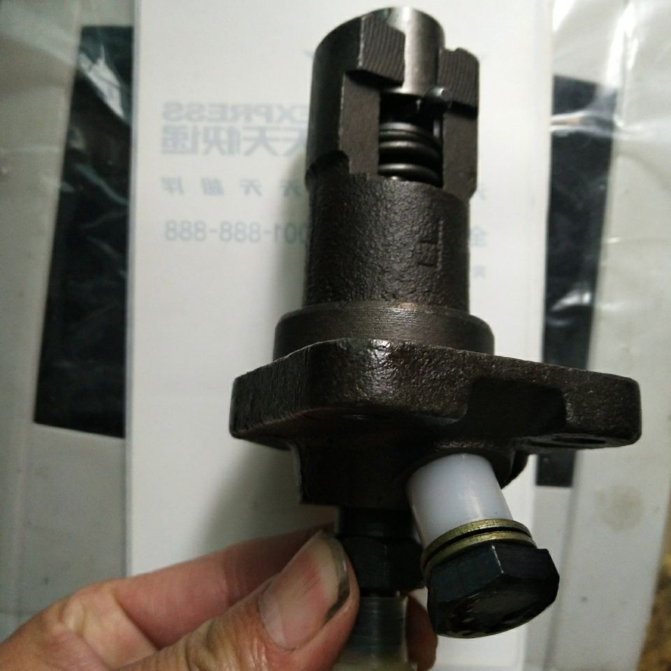 Single cylinder eddy current 12 horsepower S195 diesel engine assorted oil injection pump assembly