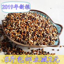 Five-color mixed millet budgerigar parrot feed Xuanfeng bird food peony mixed bird grain Munia small parrot bird grain