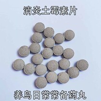 Anti-inflammatory water is a thin pill tiger skin peony Xuanfeng Parrot Bird regular medicine clear plague emergency hair loss