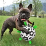 Собачья футбольная игрушка для собак Ball Beipin Corconci Training Dog Pets Pets Pet Bal