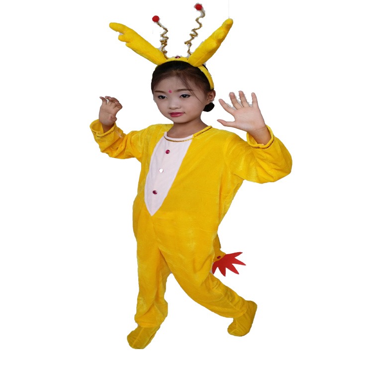 Trang phục biểu diễn động vật của trẻ em Xiao Qinglong Người lớn 12 Zodiac Xiaolong People Cartoon Performance Quần áo mẫu giáo hãng quần áo trẻ em