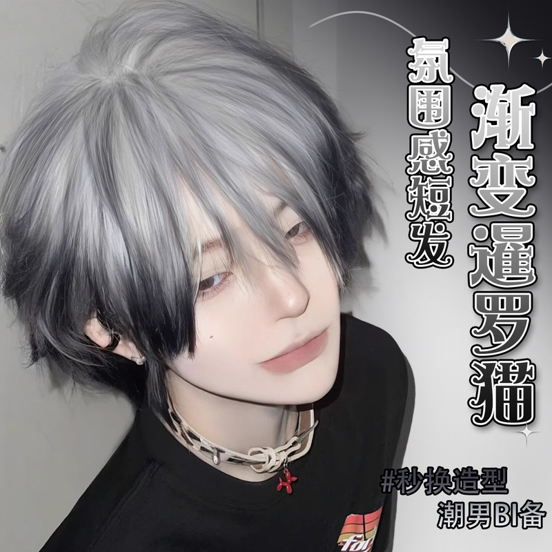 【Siamese Cat】Wig for Men, Short Hair, Slightly Layered, Black and White Gradient Highlights, Natural Men's Realistic Full Wig 【Siamese Cat】Wig for Men, Short Hair, Slightly Layered, Black and White Gradient Highlights, Natural Men's Realistic Full Wig