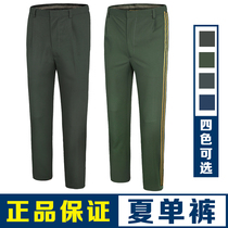 New summer normal clothes Pants Pine Branches Green Polyester Single Pants Olive Green Breathable Speed Dry Straight Drum Pants Summer Season