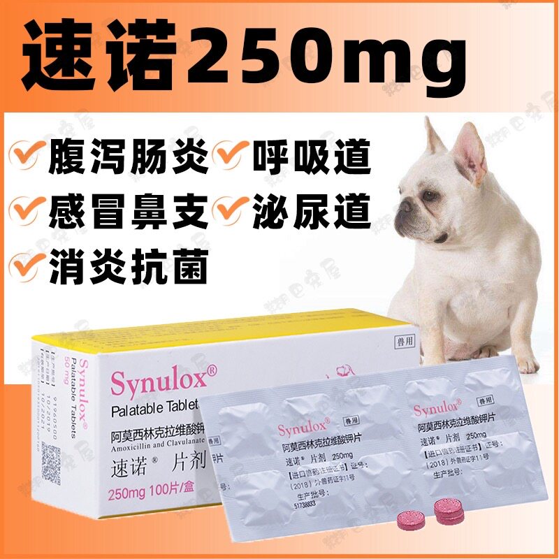 Steno Pet Skin Disease 250mg Dogs Anti-inflammatory Cat Cold Urinary Tract Infections Diarrhea Dogs Sneeze Medicine 10 tablets