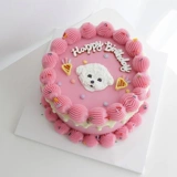 Кокоба собака на день рождения торт кошка использует ручную аватар -закуски плюшевых домашних животных для настройки корейской самостоятельной работы ручной работы