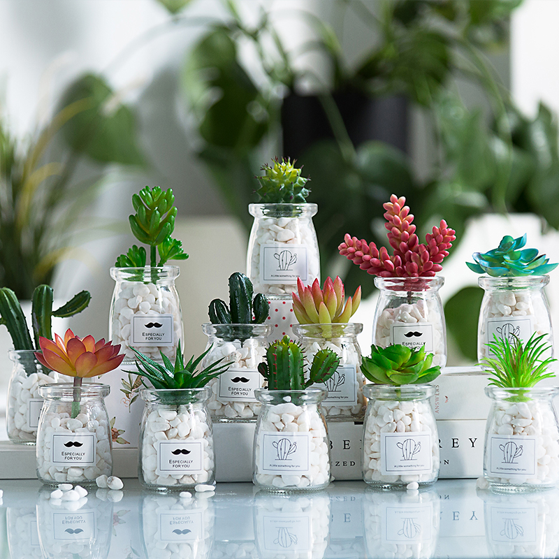 Nordic potted ins wind fake fleshy simulation plant Simple decorative flower desktop green plant small ornaments Indoor living room