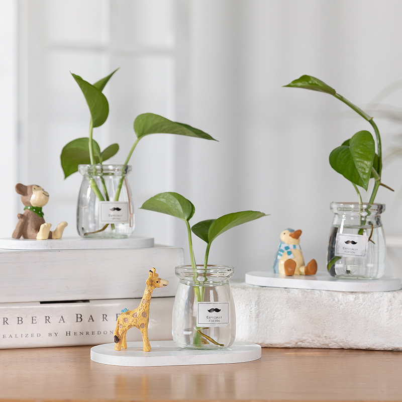 Creative Gold Gge Water Cultivation of Vase Emulation Multi-Meat Potted Plant Healing Department Desk Face Pendulum home Decorative Goods