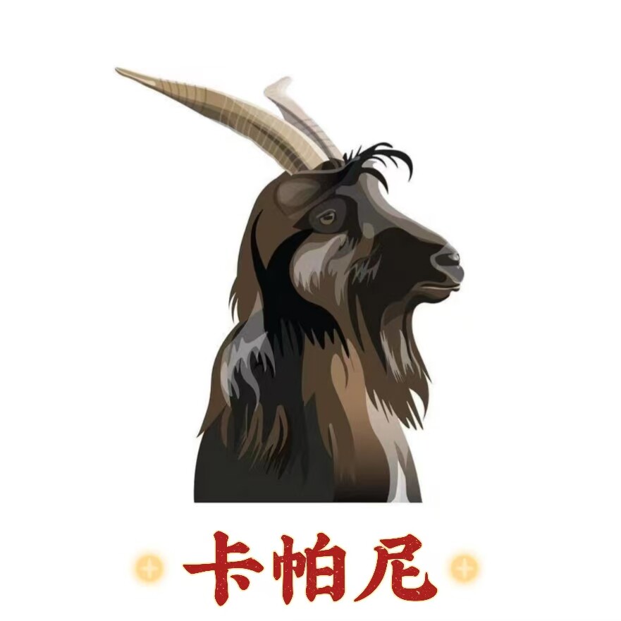 卡帕尼羊绒服饰企业店