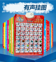 Sound wall chart pinyin childrens cognitive Enlightenment early education wall sticker voice voice baby See figure literacy card toy