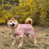 Летний легкий и тонкий дышащий быстросохнущий бандаж пупочный, защита от солнца