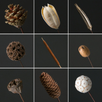 Dried fruit dried branches decorative flower natural dried pine cone okra okra cross fruit Lotus lotus flower arrangement material diy