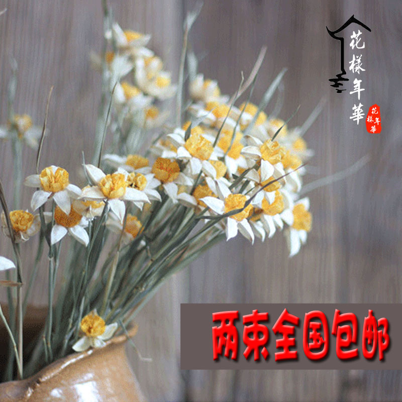 Narcissus dry flower hipster art Nature Home art real flower dry flower flower flower flower arrangement daffodil shooting props