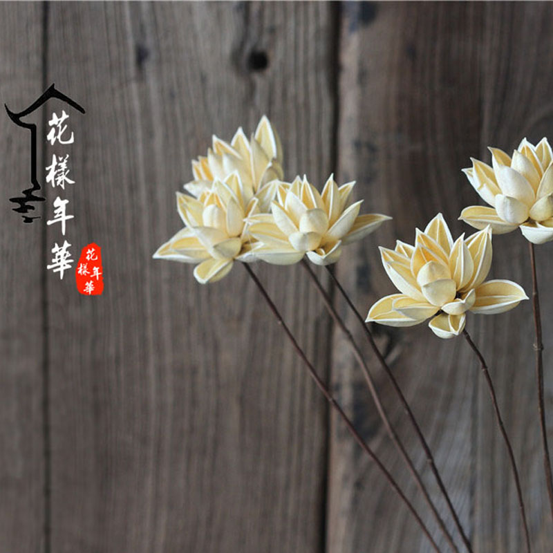 Dried lotus Natural lotus Dried flower decoration simulation flower arrangement Living room decoration shooting props Showered lotus showered dry