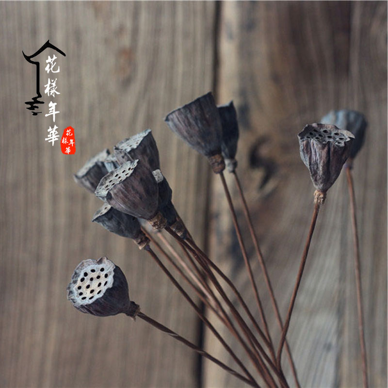 Natural dry showerhead, real rod, dried flower decoration, Zen jewelry, dried flower, real flower living room, home, new Chinese decoration