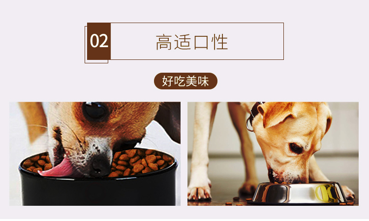 Thức ăn cho chó trưởng thành nhỏ gầm 10kg VIP Teddy Chery Nairobi Bear Chihuahua Universal Dog Thức ăn chính 20kg - Chó Staples cám royal canin
