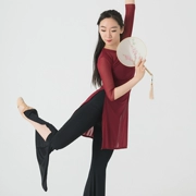Hanfu nhảy gạc lưới quần áo trang phục múa cổ điển thanh lịch cơ thể vần sợi quần áo thực hành quần áo giáo viên nghệ thuật thử quần áo - Khiêu vũ / Thể dục nhịp điệu / Thể dục dụng cụ