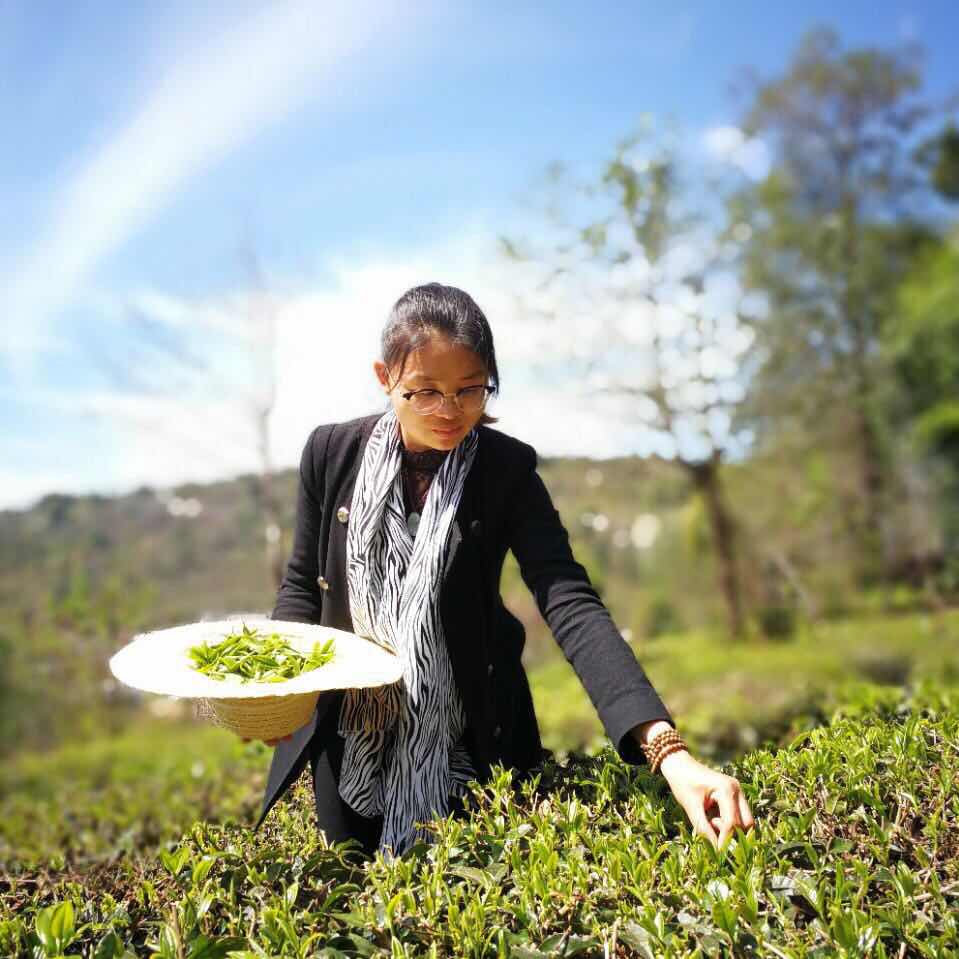 为了一款新茶,她拼出了100多个配方