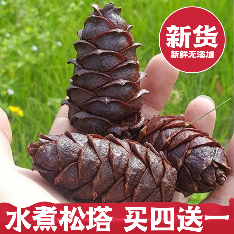 New Daxinganling boiled pine tower Wild Masson pine tower salted boiled Yansong tower Salty 500g