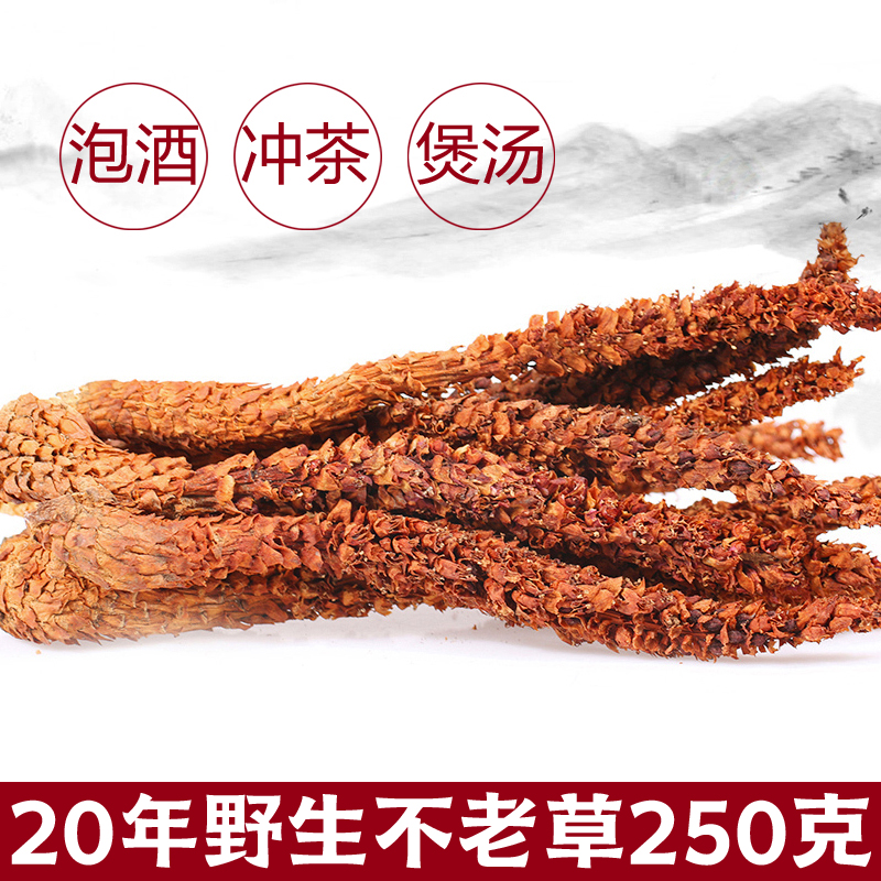 20 New products Daxinganling wild evergreen grass brewing wine material Chinese herbal medicine Cistanche column when wild mountain bract rice brewing tea