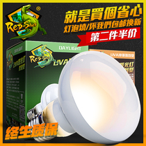 Climbing pet UVA soft light day light Reptile tortoise feeding box Turtle tank Sun back light heating insulation Lizard palace